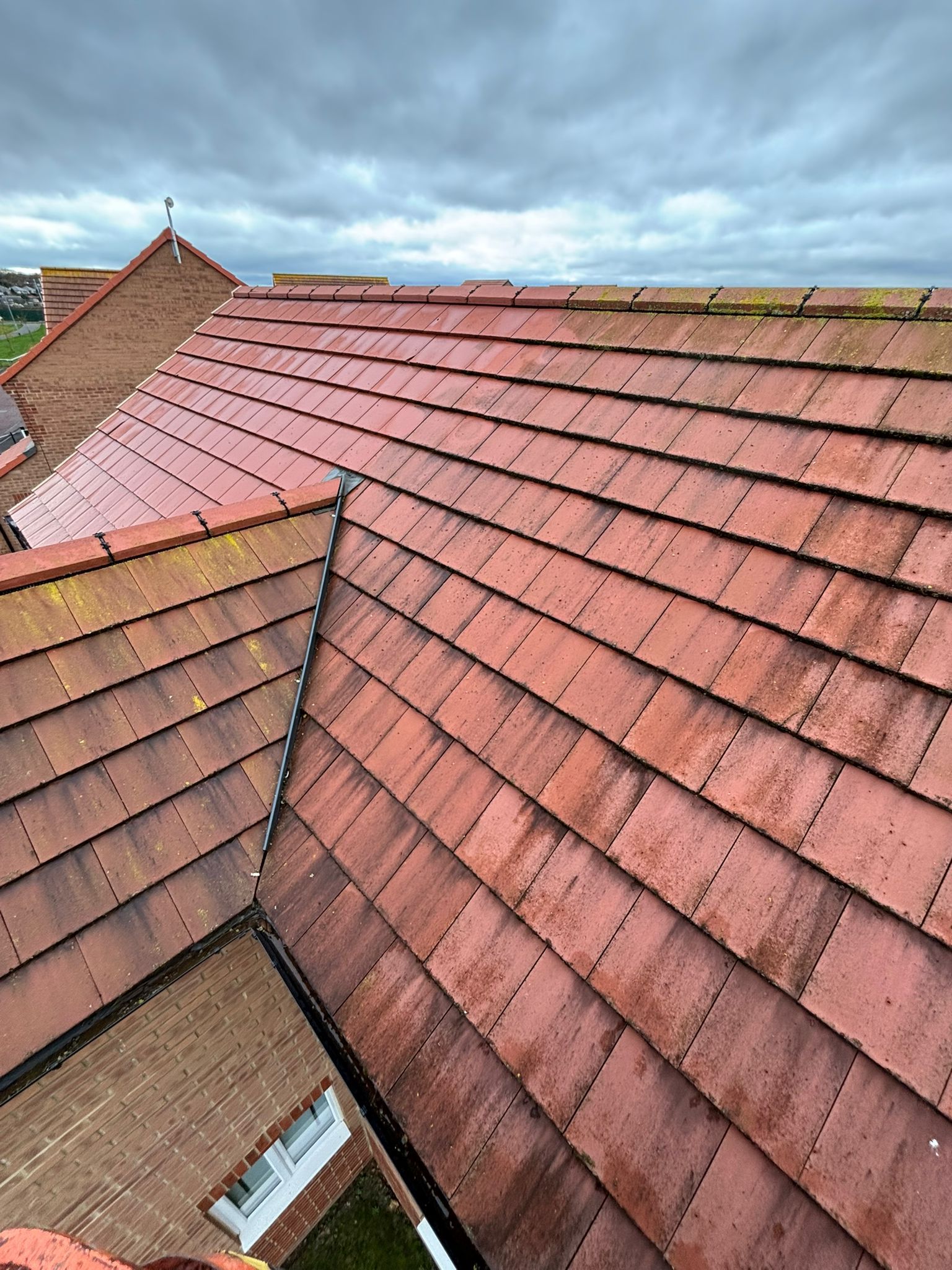 Roof Cleaning Project 2